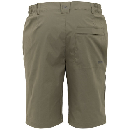 Pantalones cortos de hombre Regatta Highton Shorts Long II