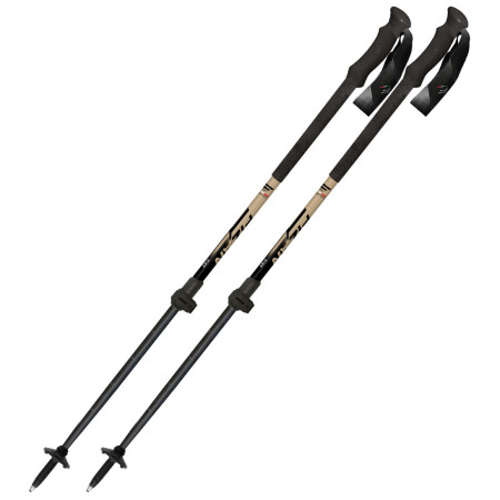Bastones de esquí de travesía Fizan Aria