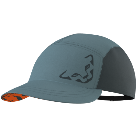 Gorra Dynafit Dynafit Alpine Cap