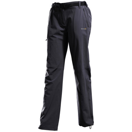 Pantalones de hombre Regatta Xert Str Trs II gris Grey