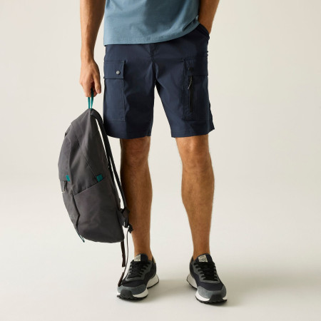 Pantalones cortos de hombre Regatta Arlery Shorts