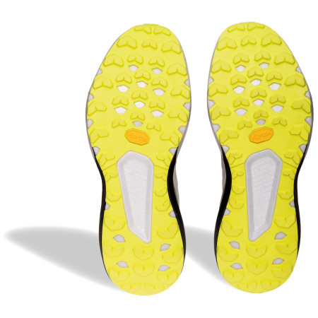 Zapatillas de carrera para hombre Dynafit Trail
