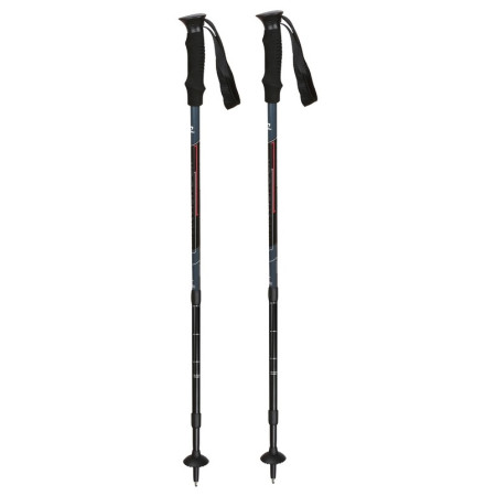 Bastones de senderismo Hannah Antishock negro/gris Gray/Anthracite