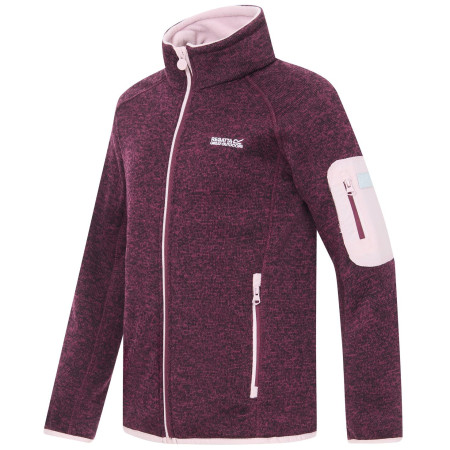 Sudadera para niños Regatta Junior Newhill Fig Powder Lilac
