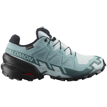 Calzado de mujer Salomon Speedcross 6 Gore-Tex