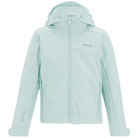 Chaqueta para niños Regatta Acidity OceMisIvMos verde claro OceMisIvMos