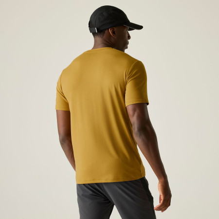 Camiseta de hombre Regatta Fingal Stretch