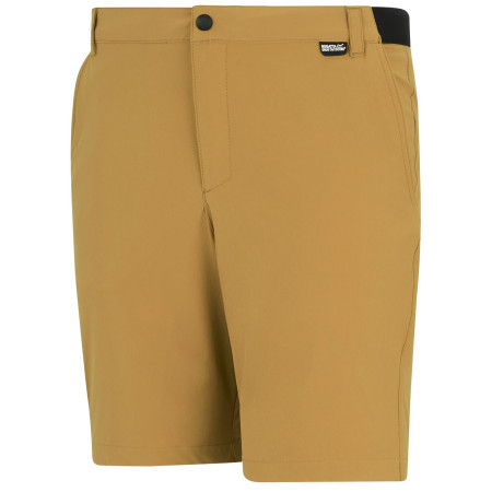 Pantalones cortos de hombre Regatta Anti-Insect Travel Light Shorts