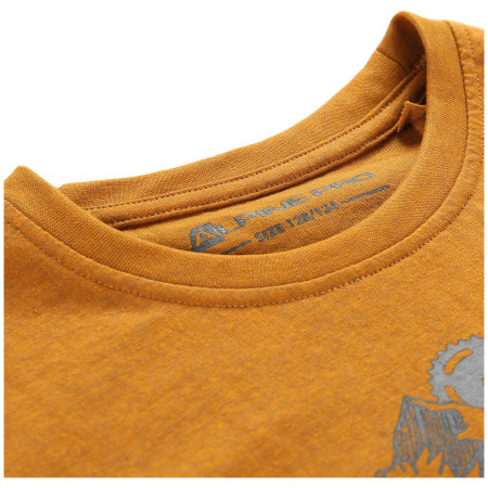 Camiseta para niños Alpine Pro Bigero 2 Oak
