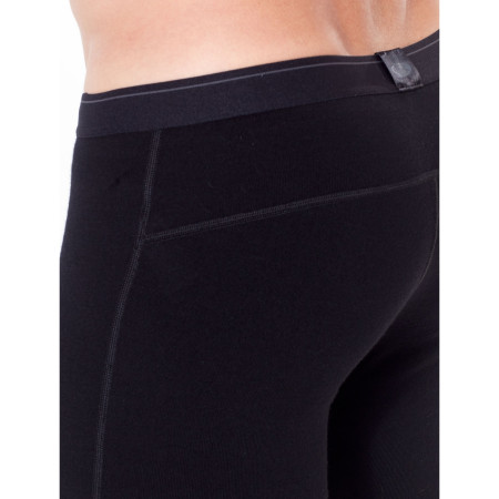 Calzoncillos de hombre Icebreaker Mens 260 Tech Leggings