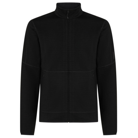 Sudadera de hombre Icebreaker M Mer 400 RealFleece Descender LS Z negro Black