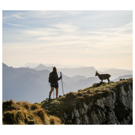 Bastones de senderismo TSL Tour A3 Cross P&P