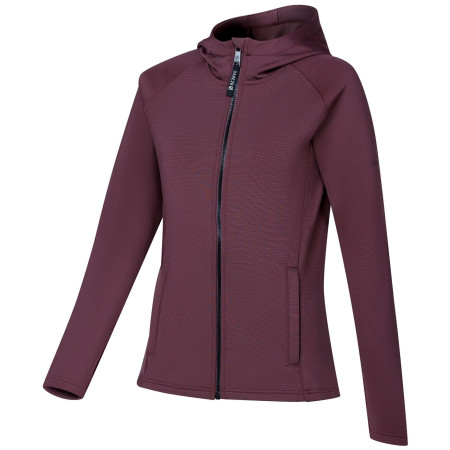 Sudadera de mujer Dare 2b Glacier Midlayer