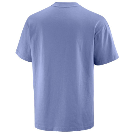 Camiseta de hombre Salomon Wild Rays Label SS Tee
