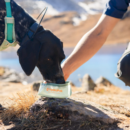 Bol plegable Hydrapak Rover Dog Bowl