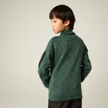 Sudadera para niños Regatta Junior Newhill DrkForGlacGr