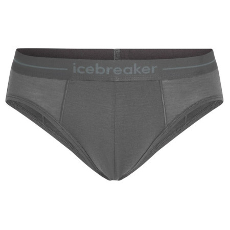 Calzoncillos de hombre Icebreaker Mens Anatomica Briefs
