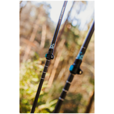 Bastones de senderismo Warg Carbon Lock