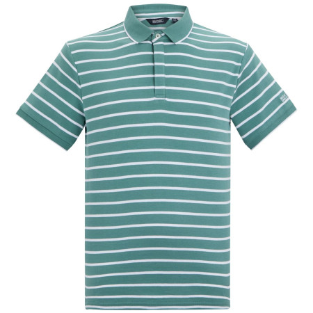 Camiseta de hombre Regatta Tiver verde/blanco Artc/WhtStrp