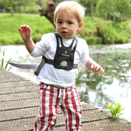 Correa para niños LittleLife Reins Grey