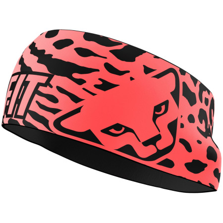 Banda para cabeza Dynafit Graphic Performance Headband