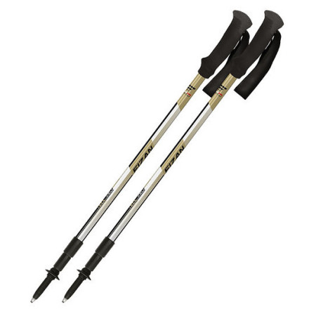 Bastones de senderismo Fizan Trek Pro