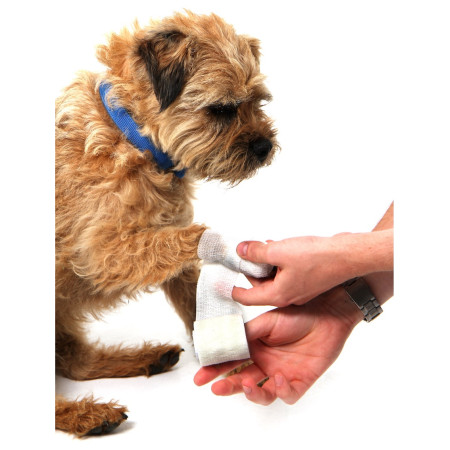 Botiquín para perros Mountain Paws Dog First Aid Kit