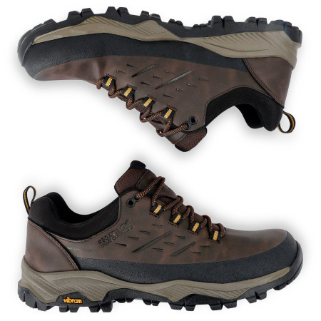 Calzado de hombre Regatta Blake Low