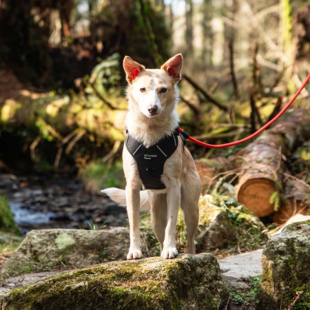 Arnés para perro Mountain Paws Dog Harness