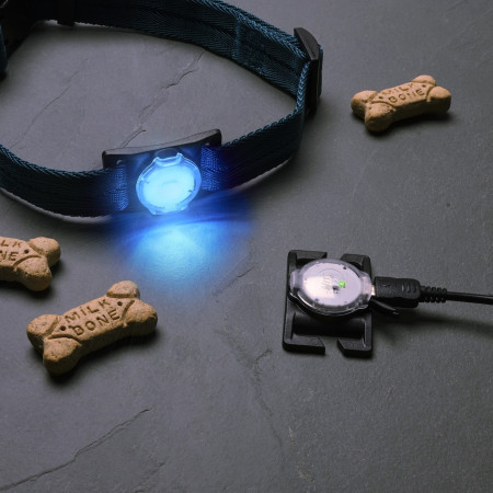 Luz para perro Nite Ize NiteDog™ Rechargeable Pet Light