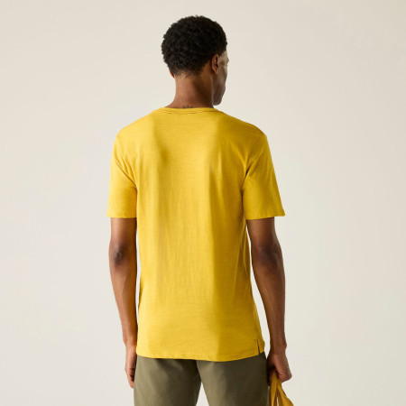 Camiseta de hombre Regatta Rendro