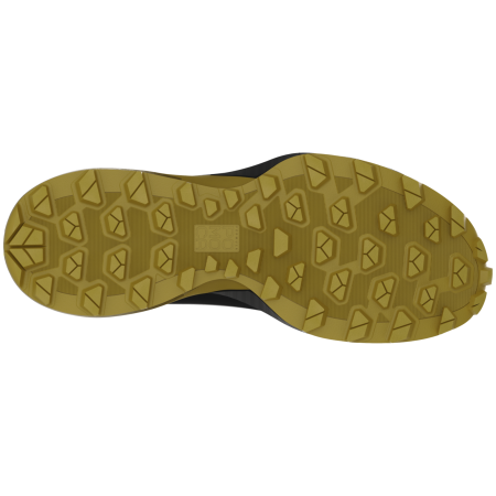 Zapatillas de carrera para hombre Dynafit Ultra Gtx