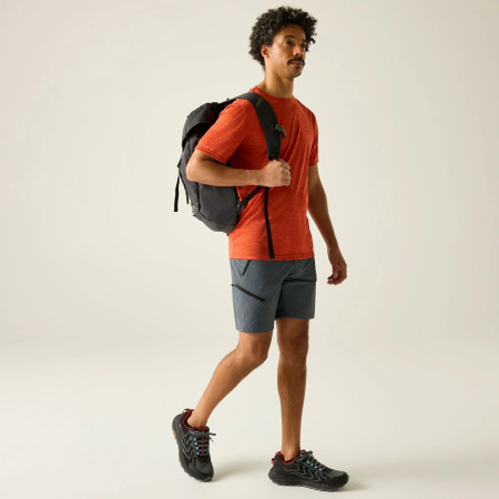 Pantalones cortos de hombre Regatta Xert Stretch Shorts