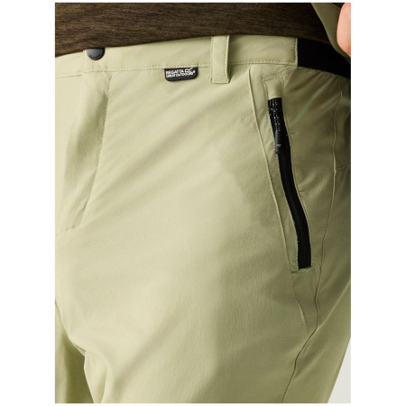 Pantalones de hombre Regatta Anti-Insect Travel Light Z/O Trousers