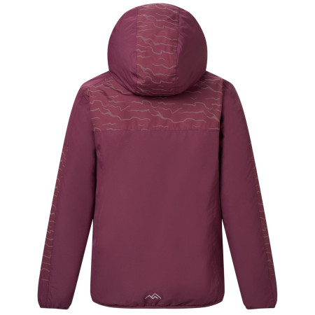 Chaqueta de invierno para niños Regatta Illuma Reflective Jacket Fig