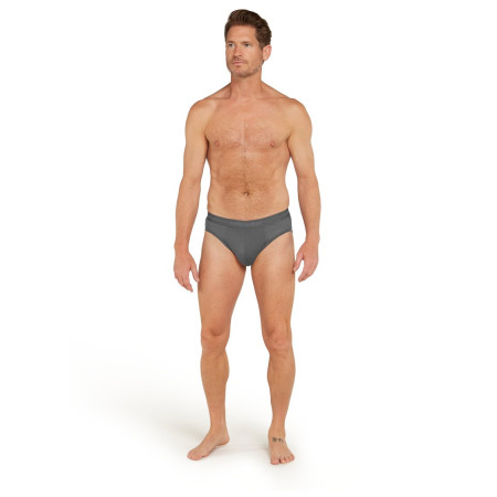 Calzoncillos de hombre Icebreaker Mens Anatomica Briefs