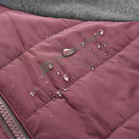 Sudadera funcional de mujer Alpine Pro Jorwa 2