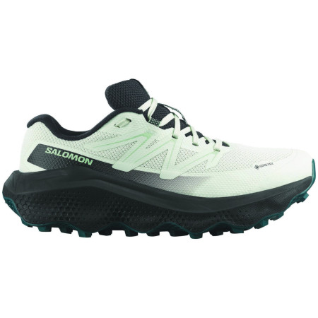 Zapatillas de carrera para mujer Salomon Ultra Flow 2 Gore-Tex