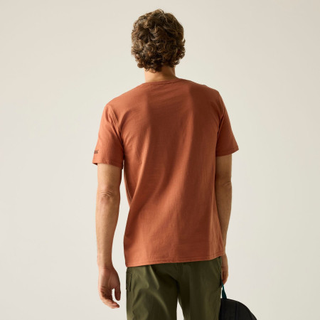 Camiseta de hombre Regatta Cline IX
