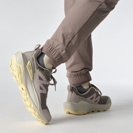 Calzado de senderismo para mujer Salomon Elixir Activ Gore-Tex