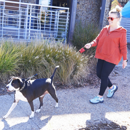 Correa para perro Nite Ize RadDog™ Retractable Pocket Leash