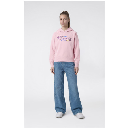Sudadera para niños Champion Hooded Sweatshirt G