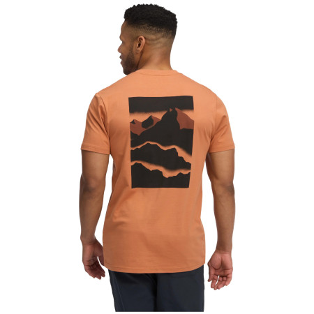 Camiseta de hombre Black Diamond M Mountainscape SS Tee