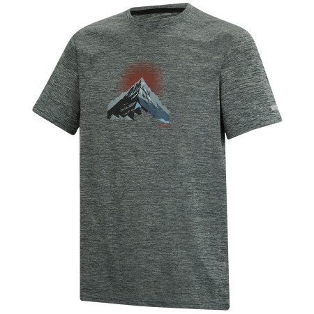 Camiseta de hombre Regatta Fingal
