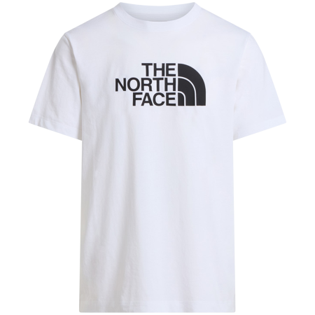 Camiseta de hombre The North Face Evolution Half Dome Regular Short Slee