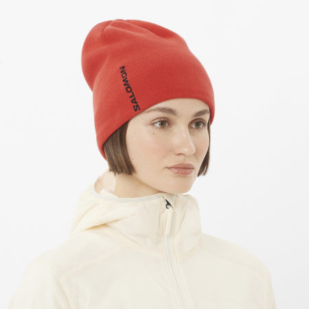 Gorro Salomon Graphic