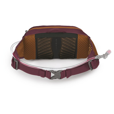 Riñonera Osprey Seral 4