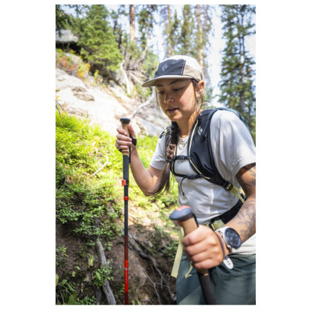 Bastones de senderismo Black Diamond Pursuit Carbon FLZ