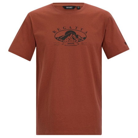 Camiseta de hombre Regatta Cline IX marrón Brick