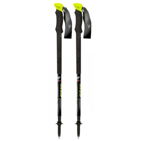 Bastones de senderismo Fizan Compact Pro